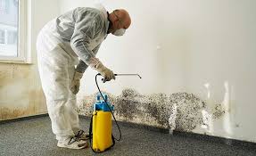 Best Industrial Mold Remediation  in Argo, AL