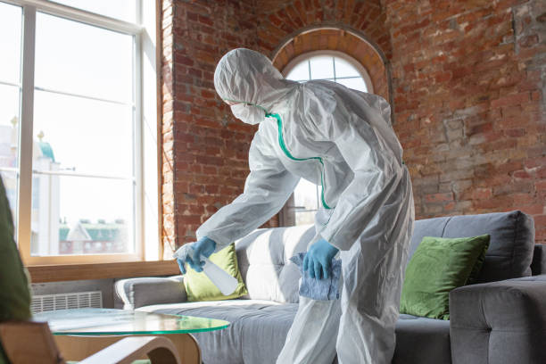 Best Mold Prevention Services  in Argo, AL