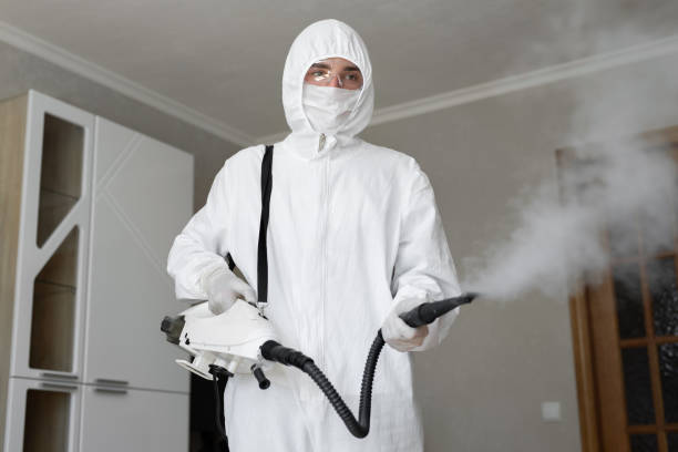 Best Black Mold Removal  in Argo, AL